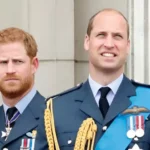 Pangeran William lalu Harry Ternyata Sudah Tak Berkomunikasi Hampir 2 Tahun