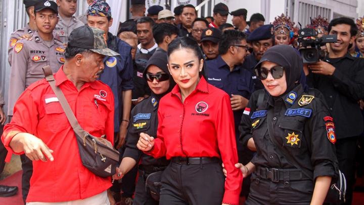 12 Daftar Artis yang mana dimaksud Maju Pemilihan Kepala Daerah 2024, Ada Rano Karno hingga Ramzi