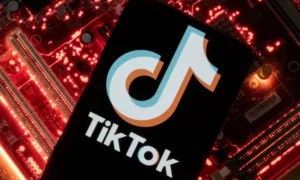 Alasan Ketenteraman Siber, Kanada Blokir TikTok